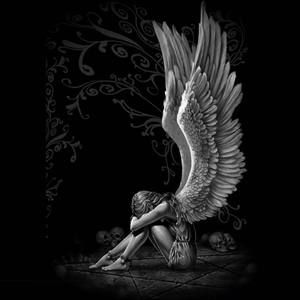 Meet your Posher, Belle